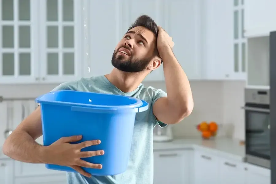 Prevents Leaks and Mold