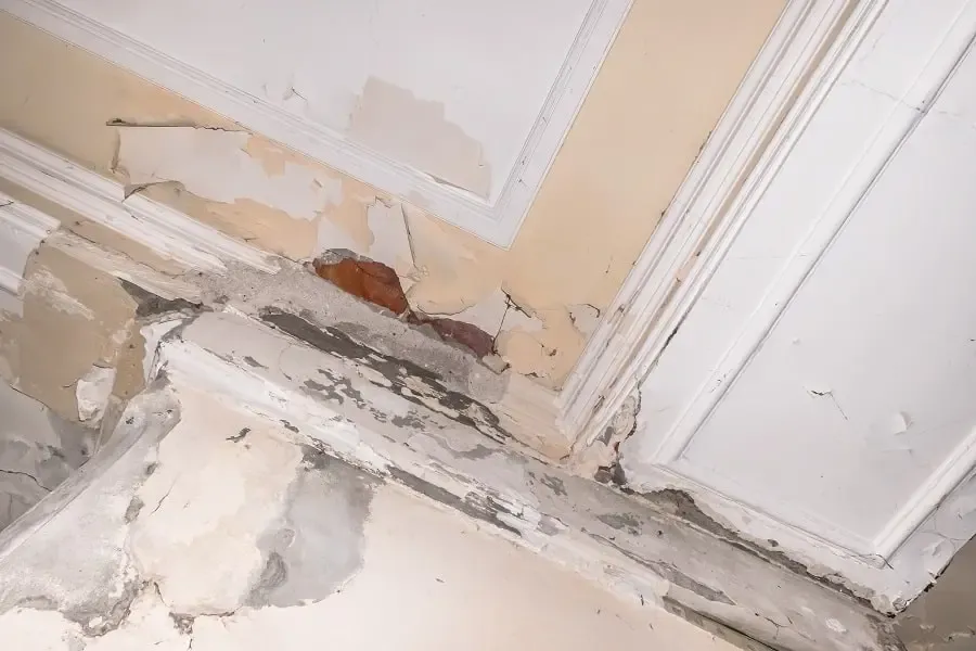Warning Signs of Roof Leaks Tampa Homeowners Should Never Ignore